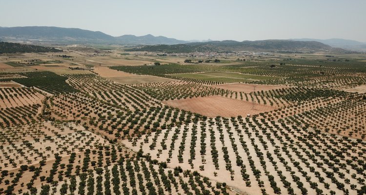 agricultural-water-management-wur